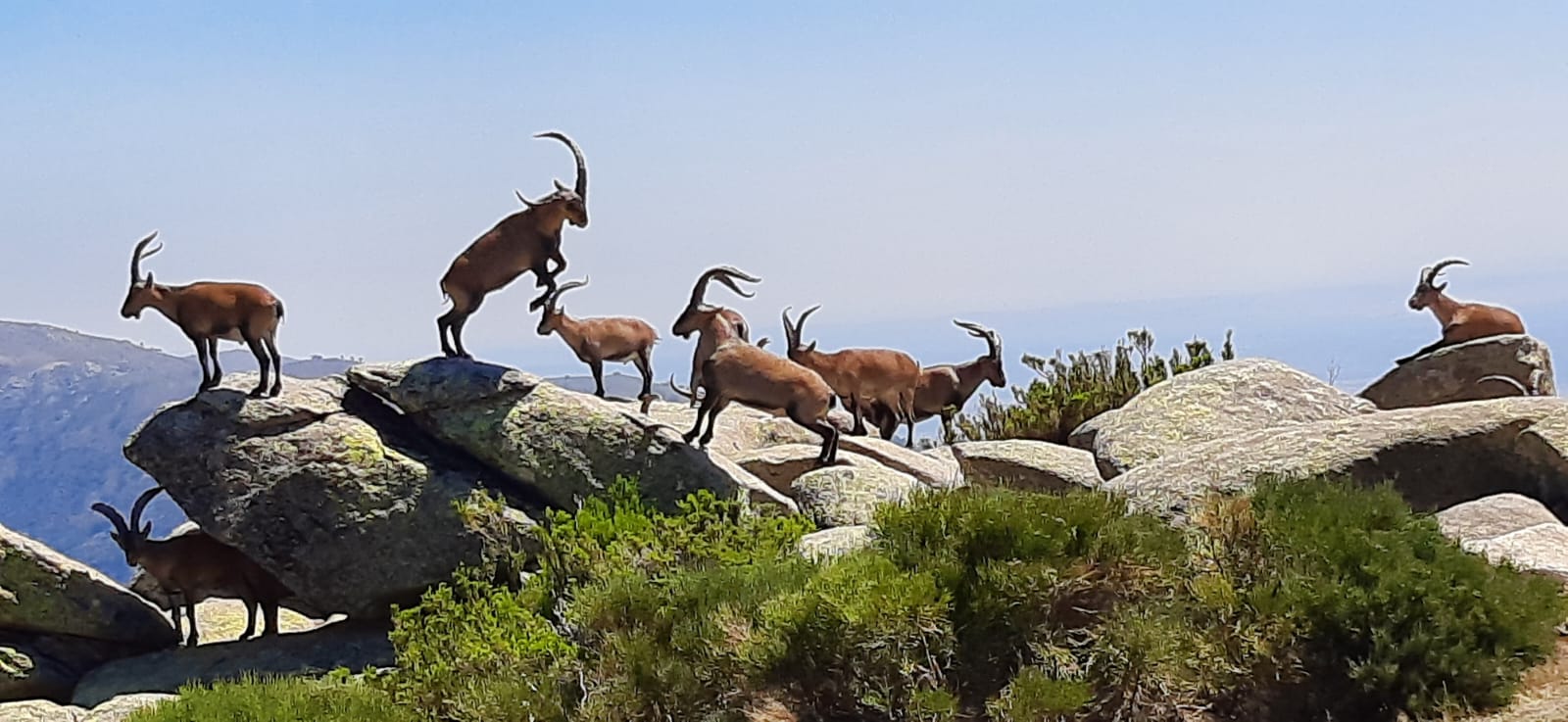 MIGUEL ANGEL GOMEZ NOMBELA